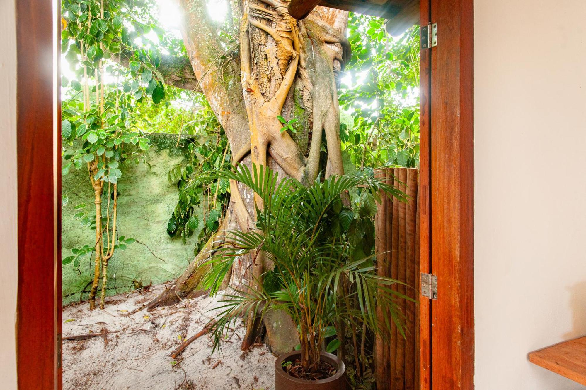 Pousada Mangue Sereno Caraíva Exterior foto